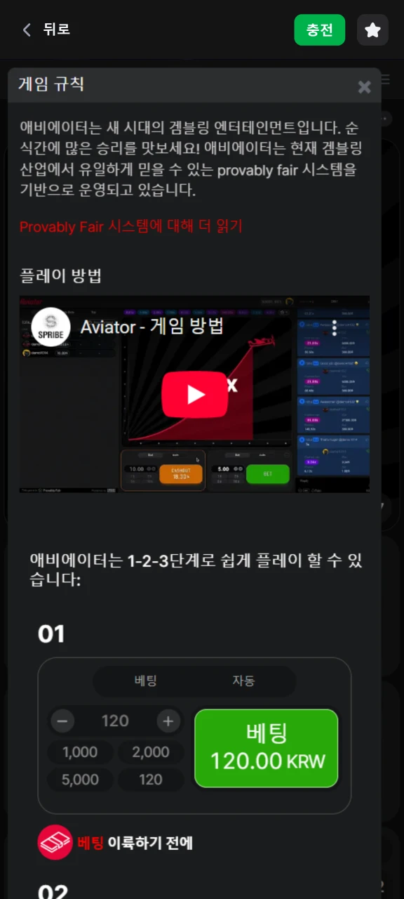 1Win의 Aviator 게임 규칙을 숙지하세요.