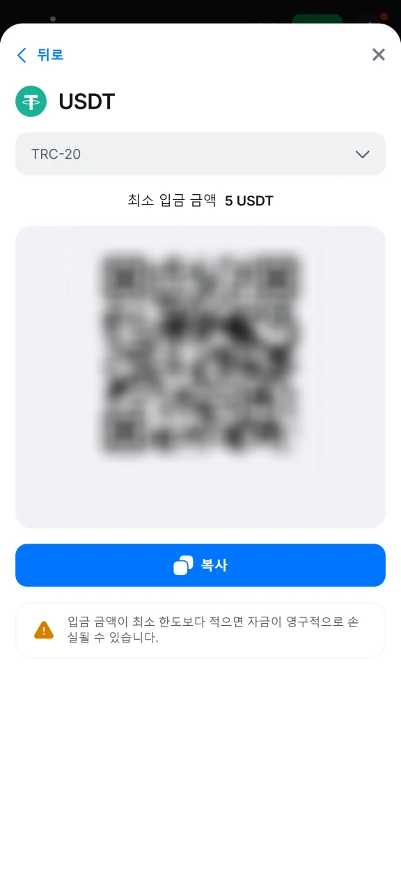 1Win에 필요한 모든 입금 세부 정보를 입력하세요.